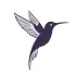 Silueta de colibrí púrpura con las alas extendidas en pleno vuelo sobre un fondo blanco.