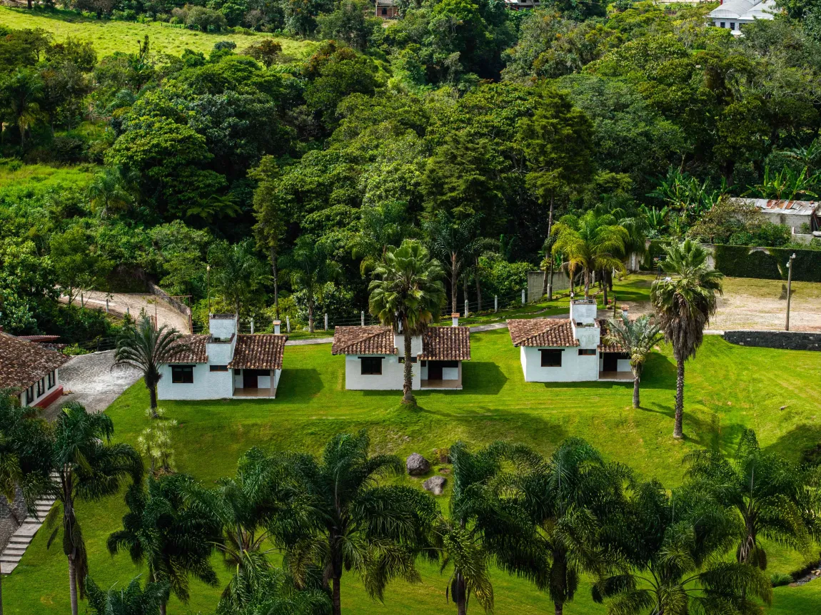 Casitas blancas con tejados rojos en una ladera verde entre árboles, vistas desde arriba.
