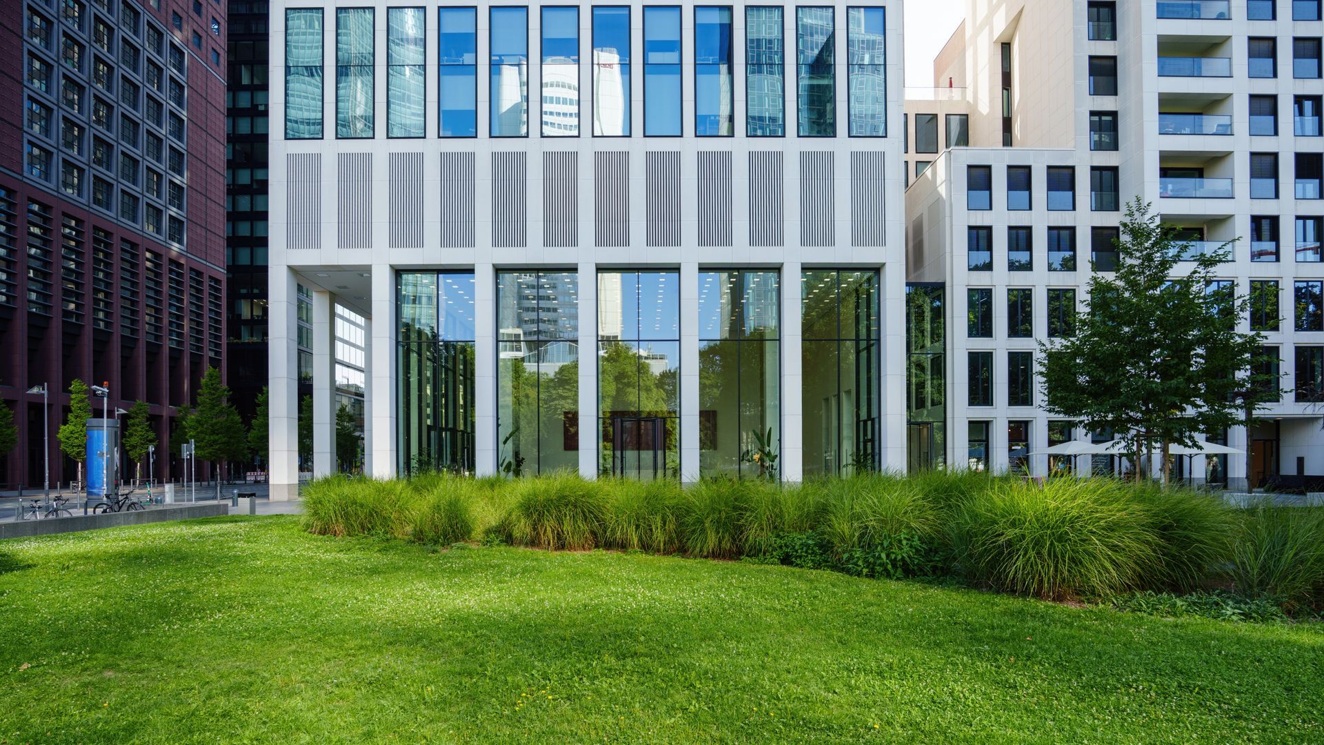 Modern office building with large windows, a green lawn, and landscaped trees in front