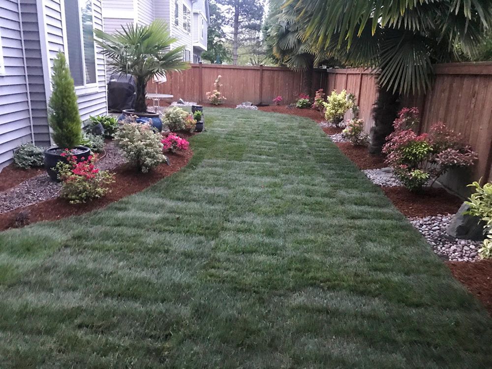 Lawn and garden with flowers along a wooden fence, adjacent to a house.