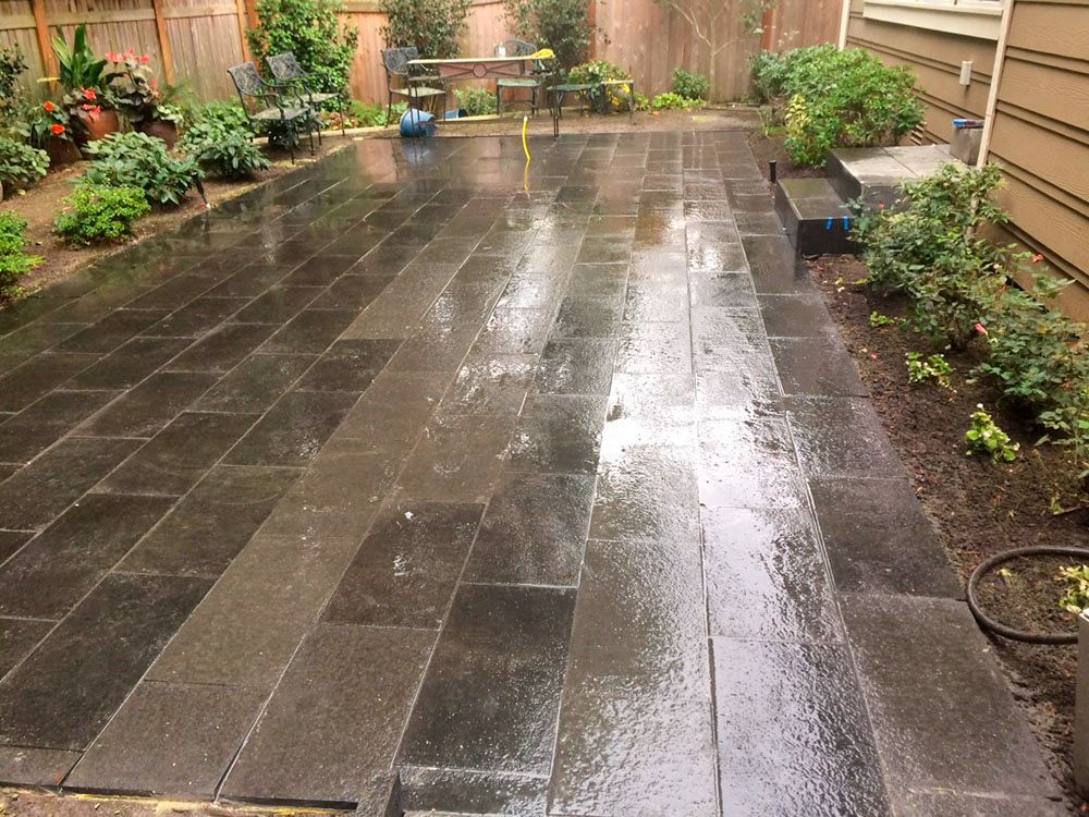 Wet, dark stone patio with bordering plants and a wooden fence; outdoor setting.