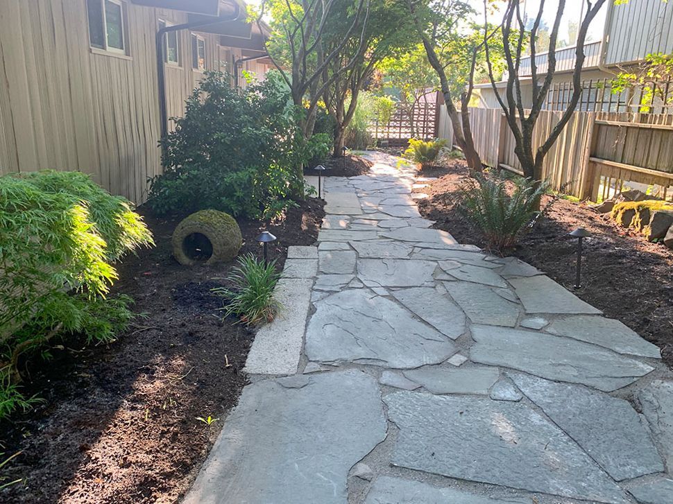 Flagstone pathway winds through a garden with trees and shrubs; wooden fences flank the sides.