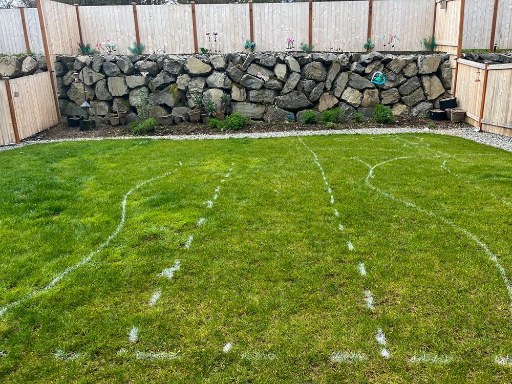 A backyard lawn with a rock wall and basketball court lines painted on the grass.