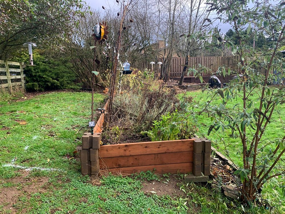 A wooden raised garden bed in a backyard with greenery, trees, and a wooden fence.