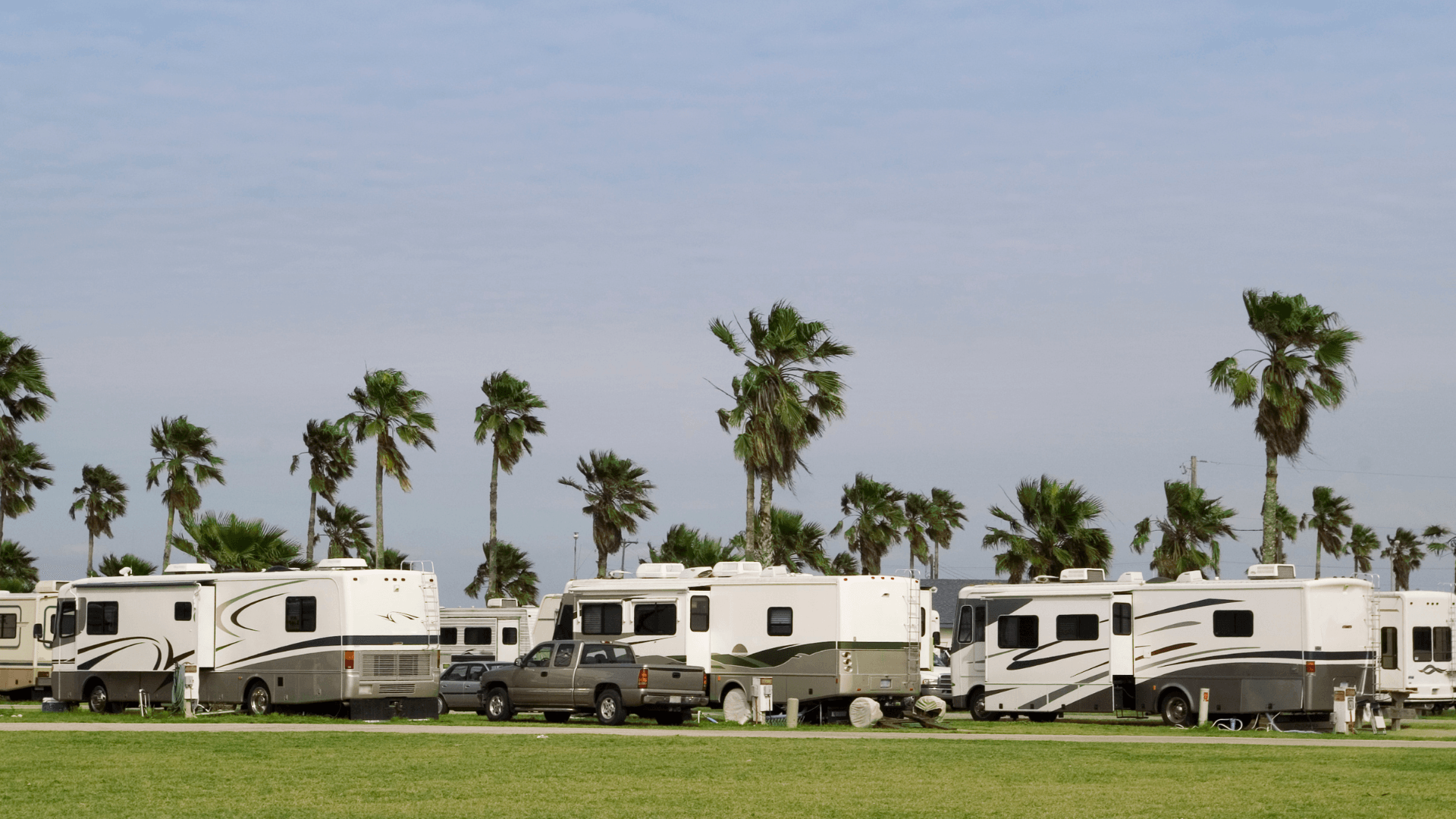 Several RVs parked in a grassy lot, palm trees in the background, under a clear sky.