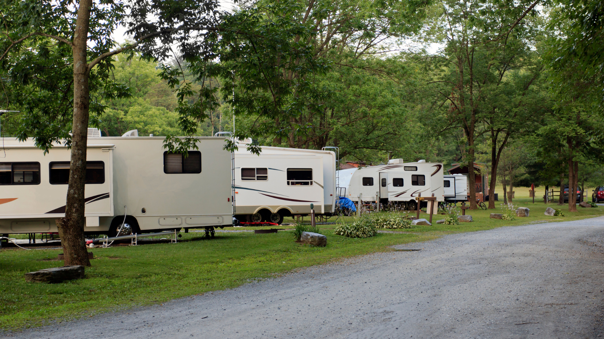 A row of rvs are parked in a grassy area.
