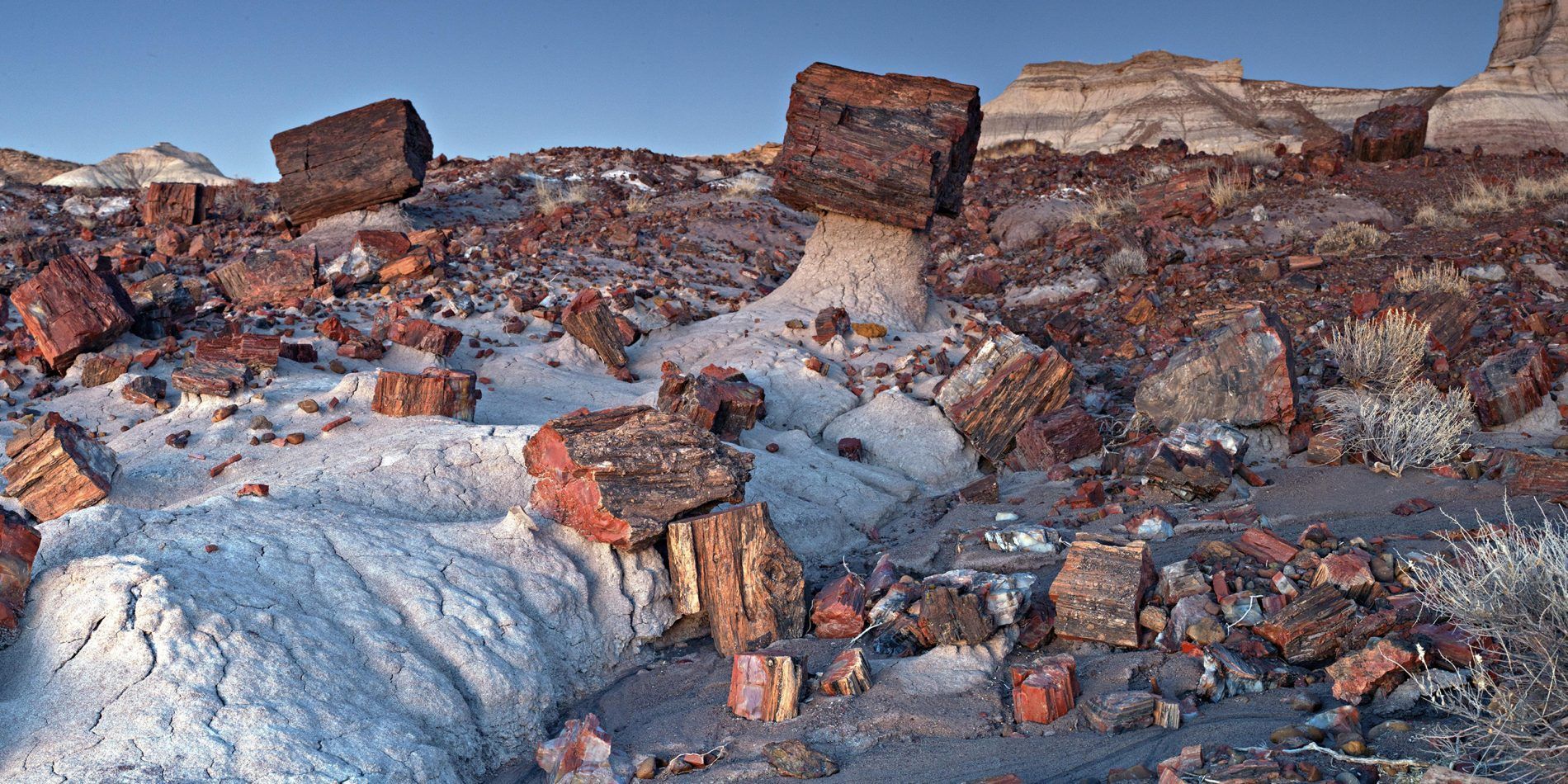 A desert landscape with rocks and mountains in the background