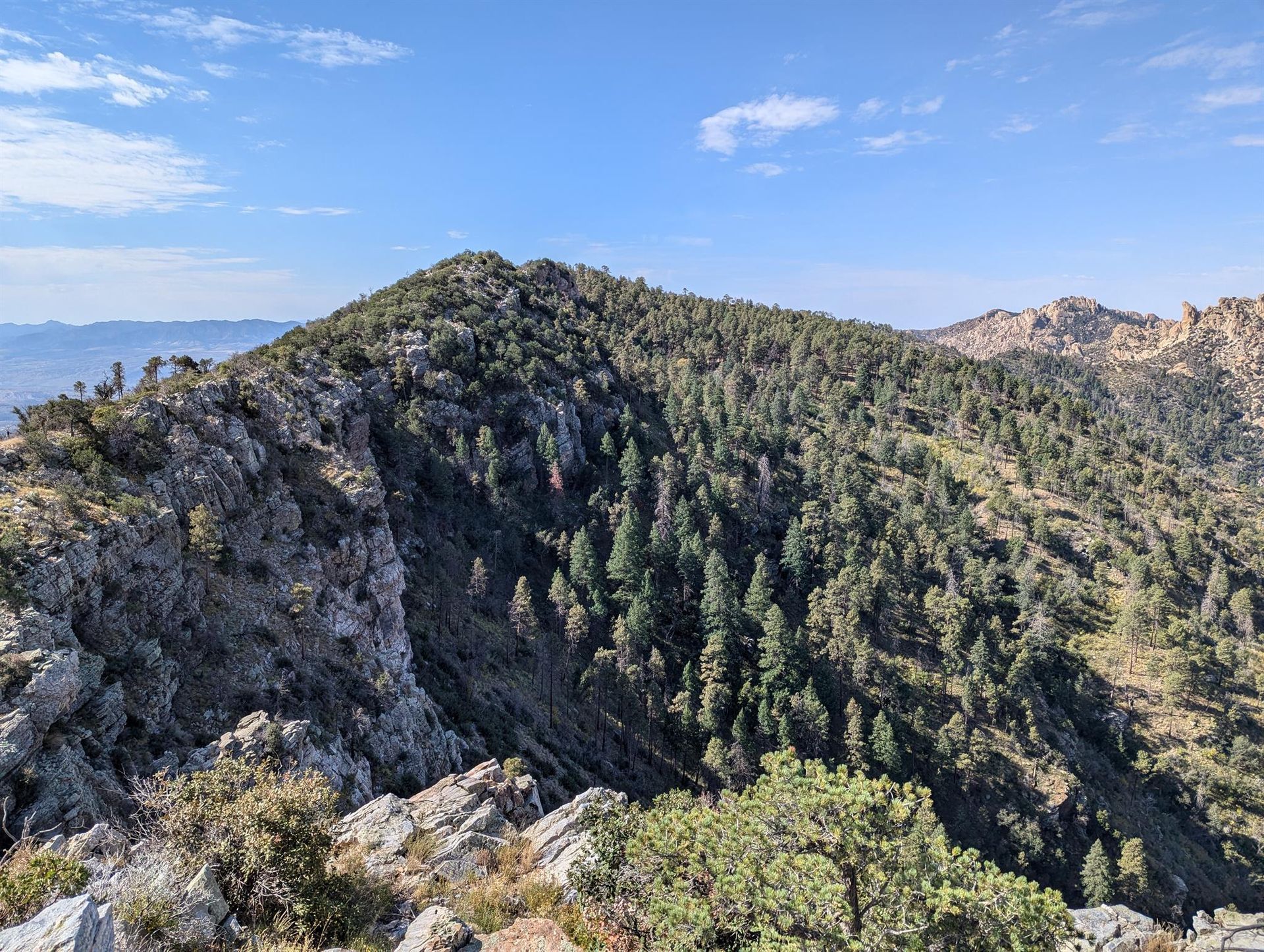 A mountain covered in trees and rocks with a blue sky in the background.