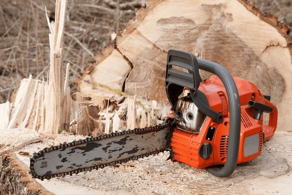 A Chainsaw Is Sitting On Top Of A Tree Stump — Leslie Farm & Garden Machinery In South Grafton, NSW