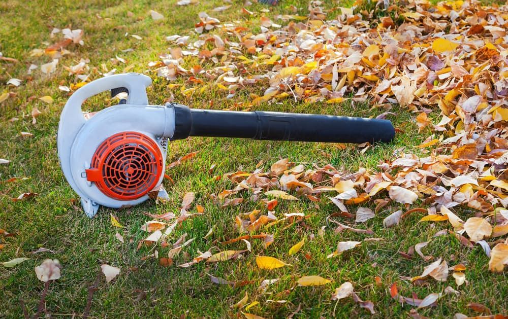 A Leaf Blower Is Laying On The Grass Surrounded By Leaves — Leslie Farm & Garden Machinery In South Grafton, NSW
