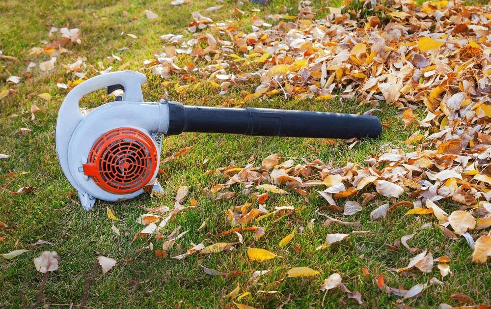 A Leaf Blower Is Laying On The Grass Surrounded By Leaves — Leslie Farm & Garden Machinery In South Grafton, NSW
