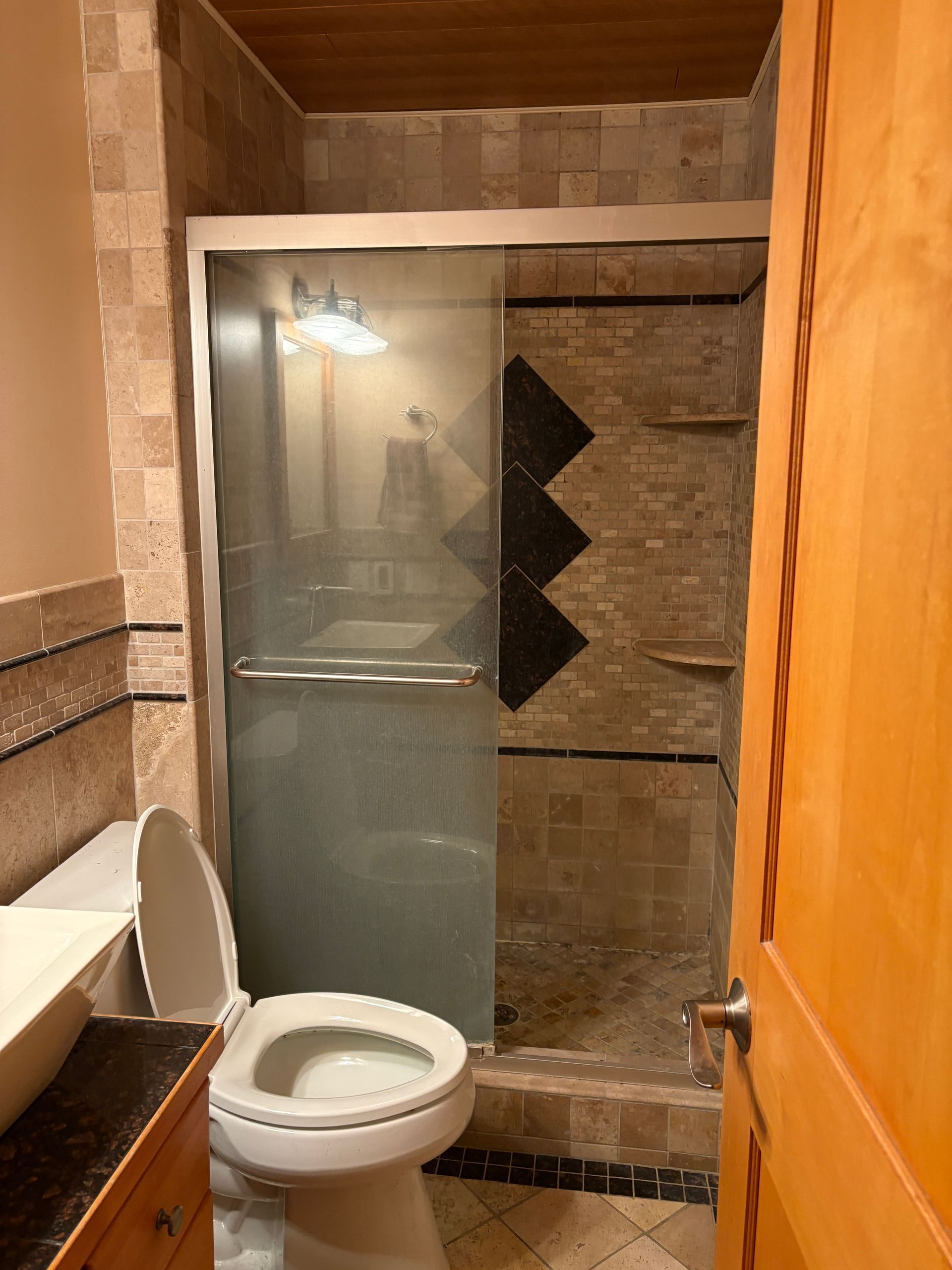Bathroom with a glass shower, toilet, and wooden door.