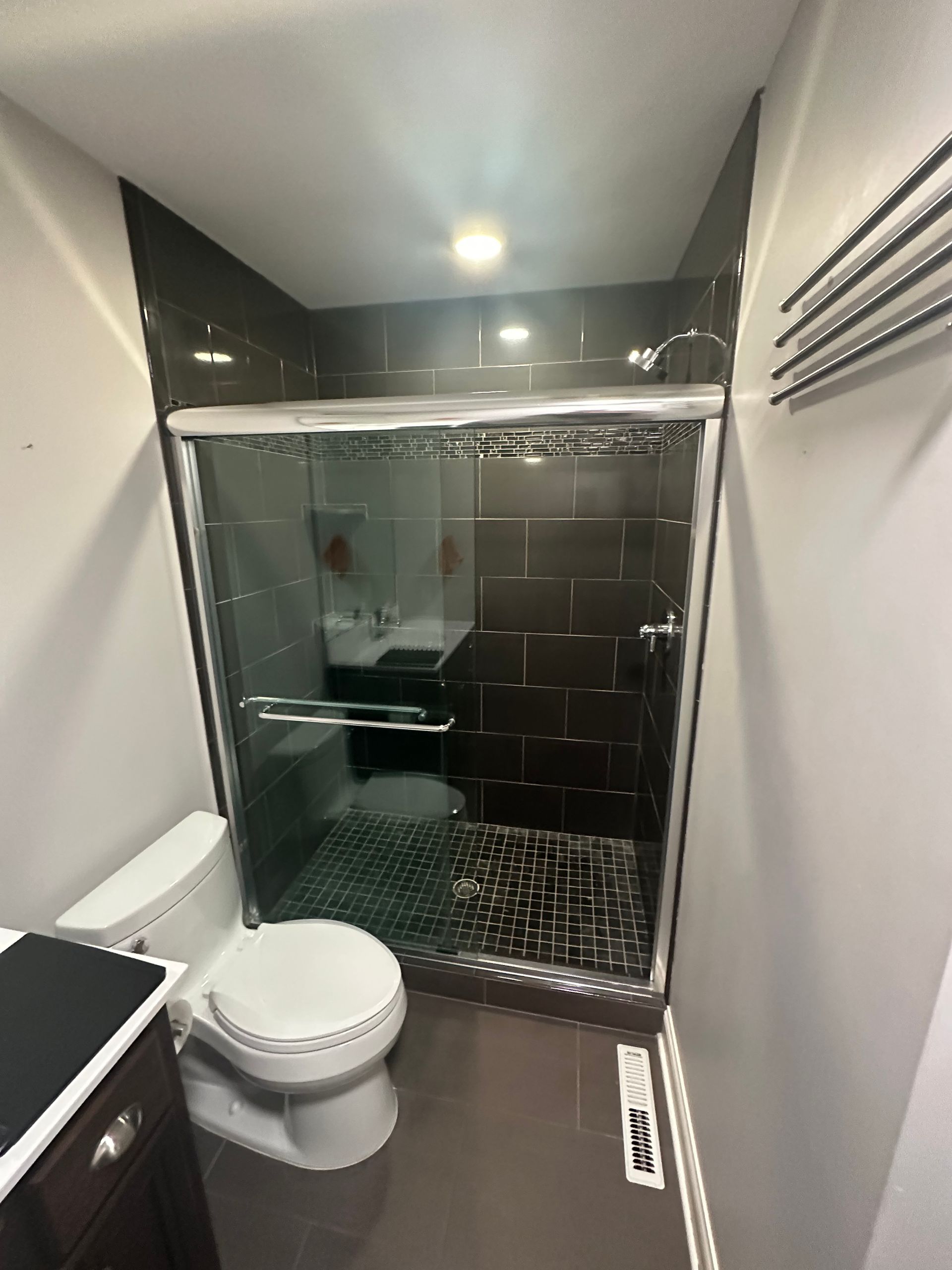 Bathroom with brown tiled shower, glass door, white toilet, and dark vanity.