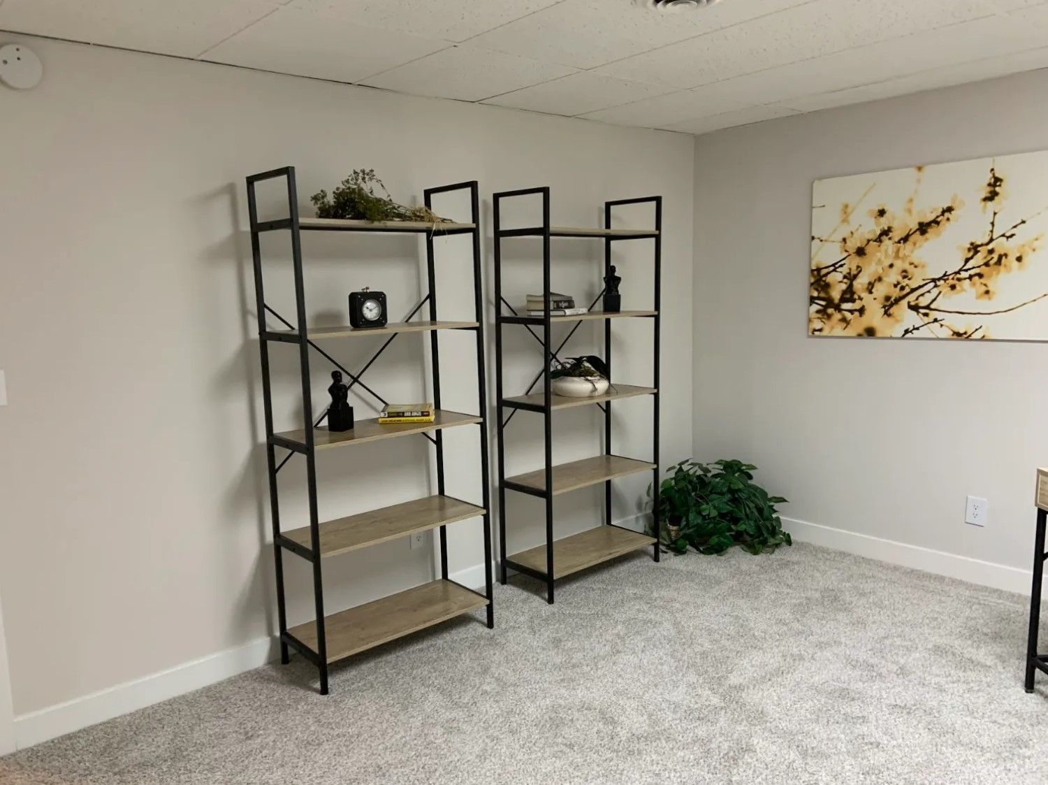 Two black metal and wood bookshelves in a neutral-colored room, with decor and a painting on the wall.