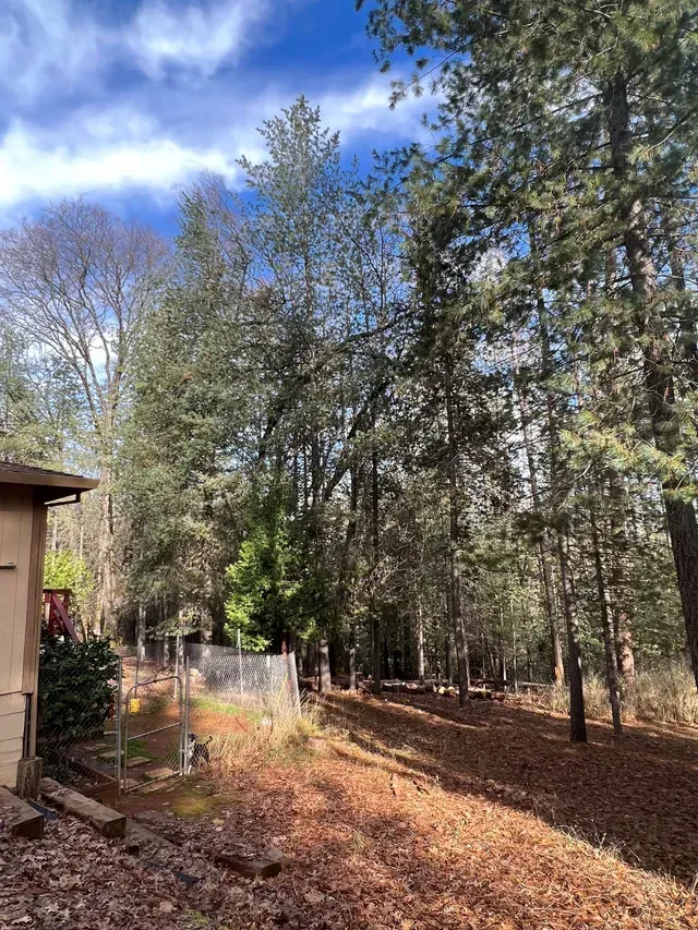 Two orange garbage trucks are sweeping the street  in Stockton, CA.