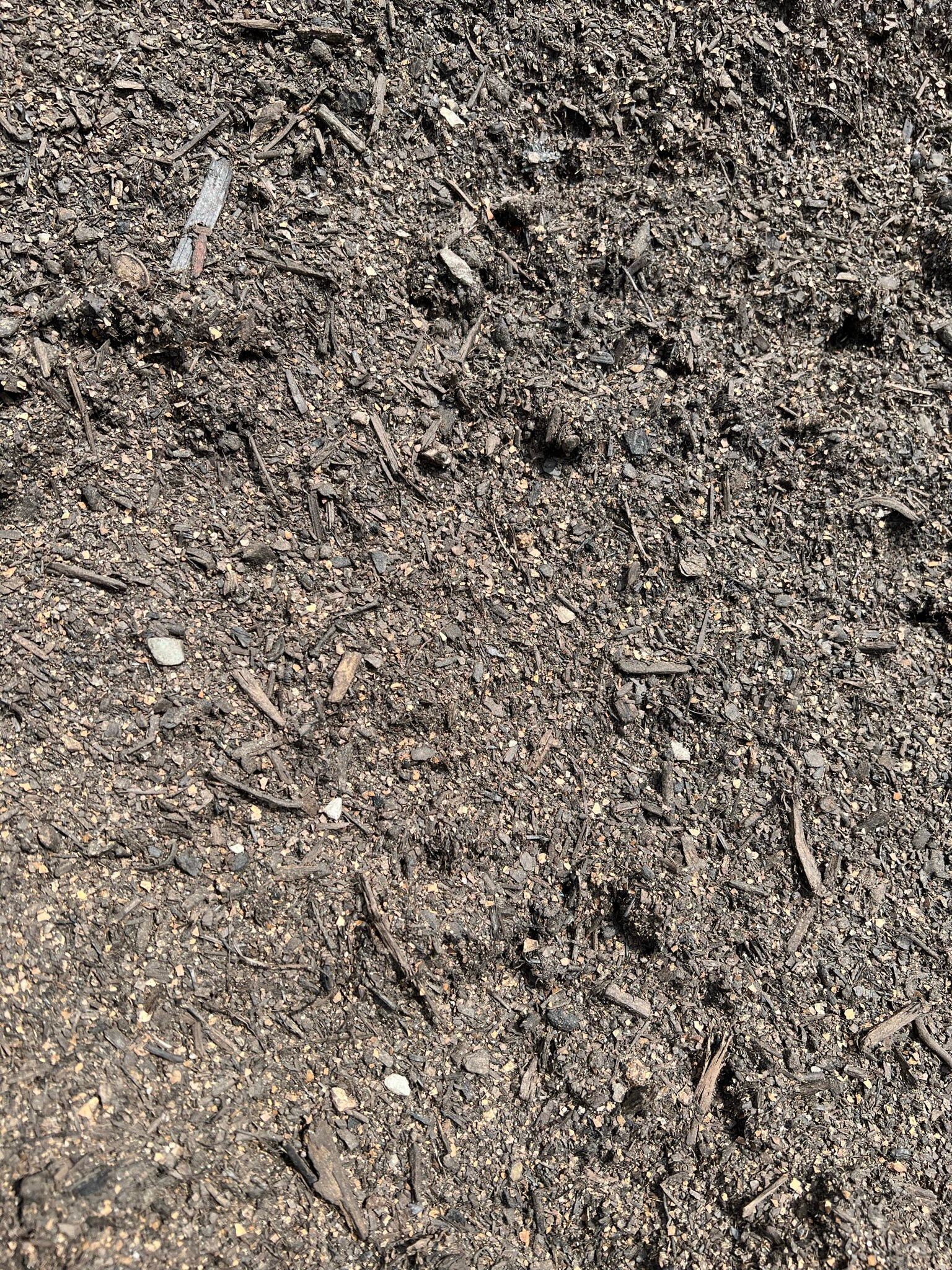 Close-up of dark brown mulch, textured with small pieces and debris.