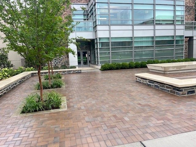 Brick patio with small trees, low stone walls, and a modern building entrance.