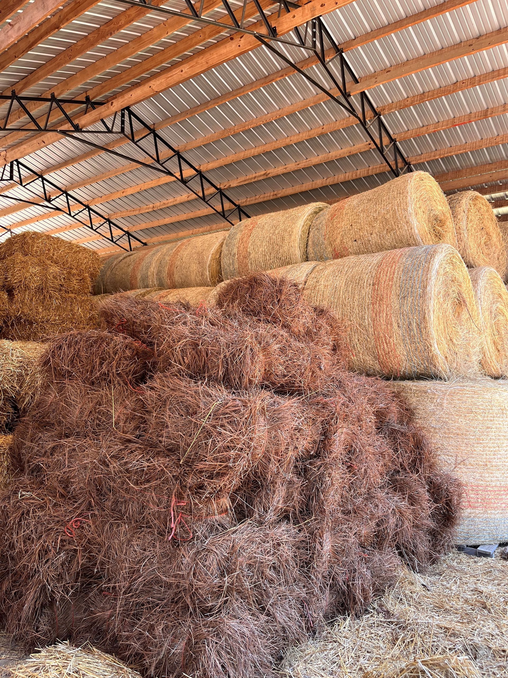 Hay bales and wood chips stored inside a barn with a wooden and metal truss roof.