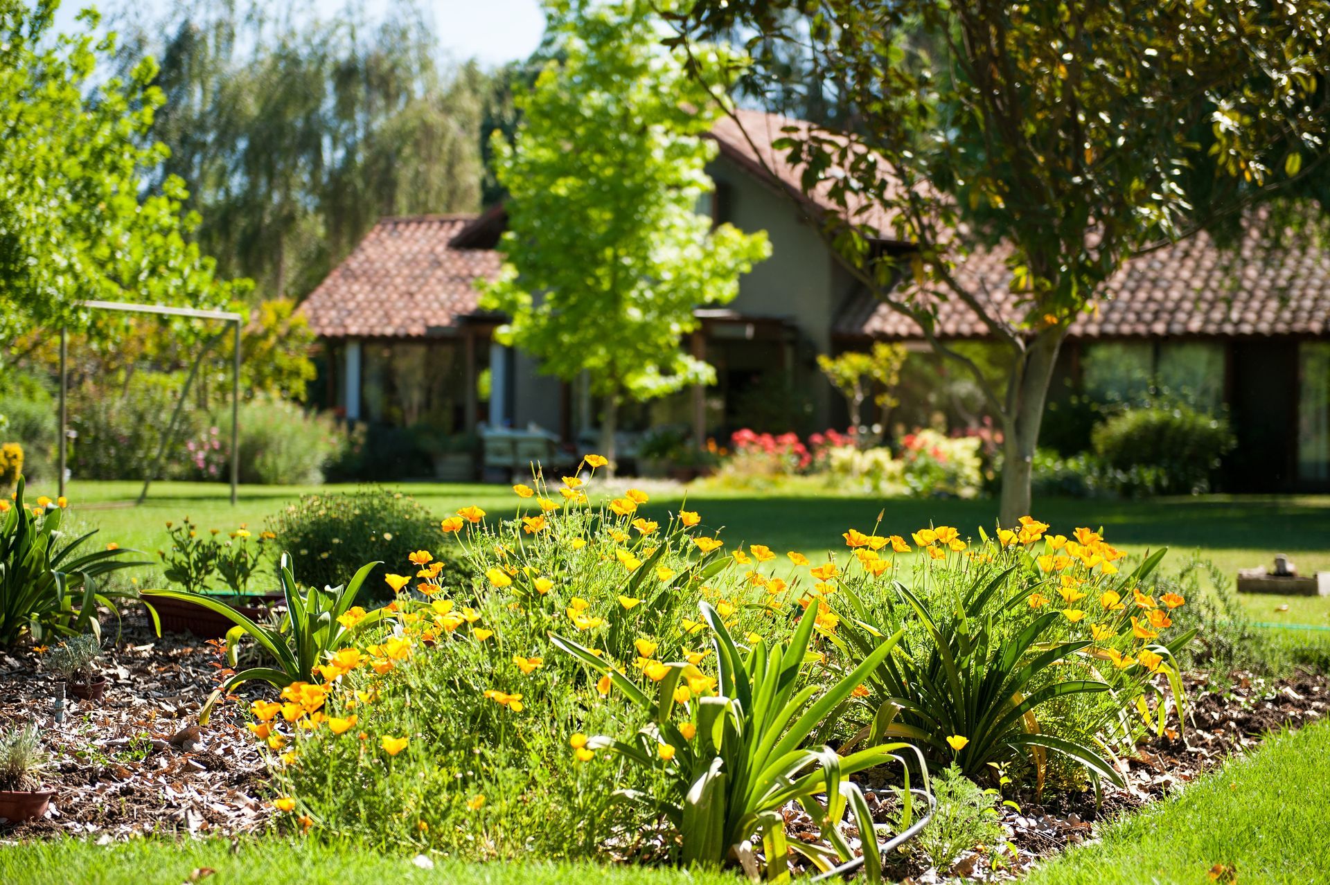 Beautiful green garden from a landscape nursery by Red Mill Landscape & Nursery in Raleigh, NC