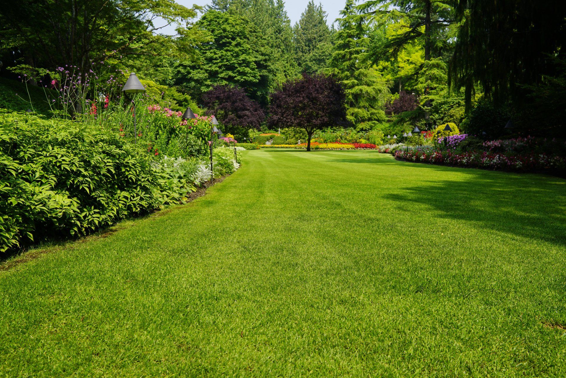 Fields — Landscaped Lawn in Durham, NC