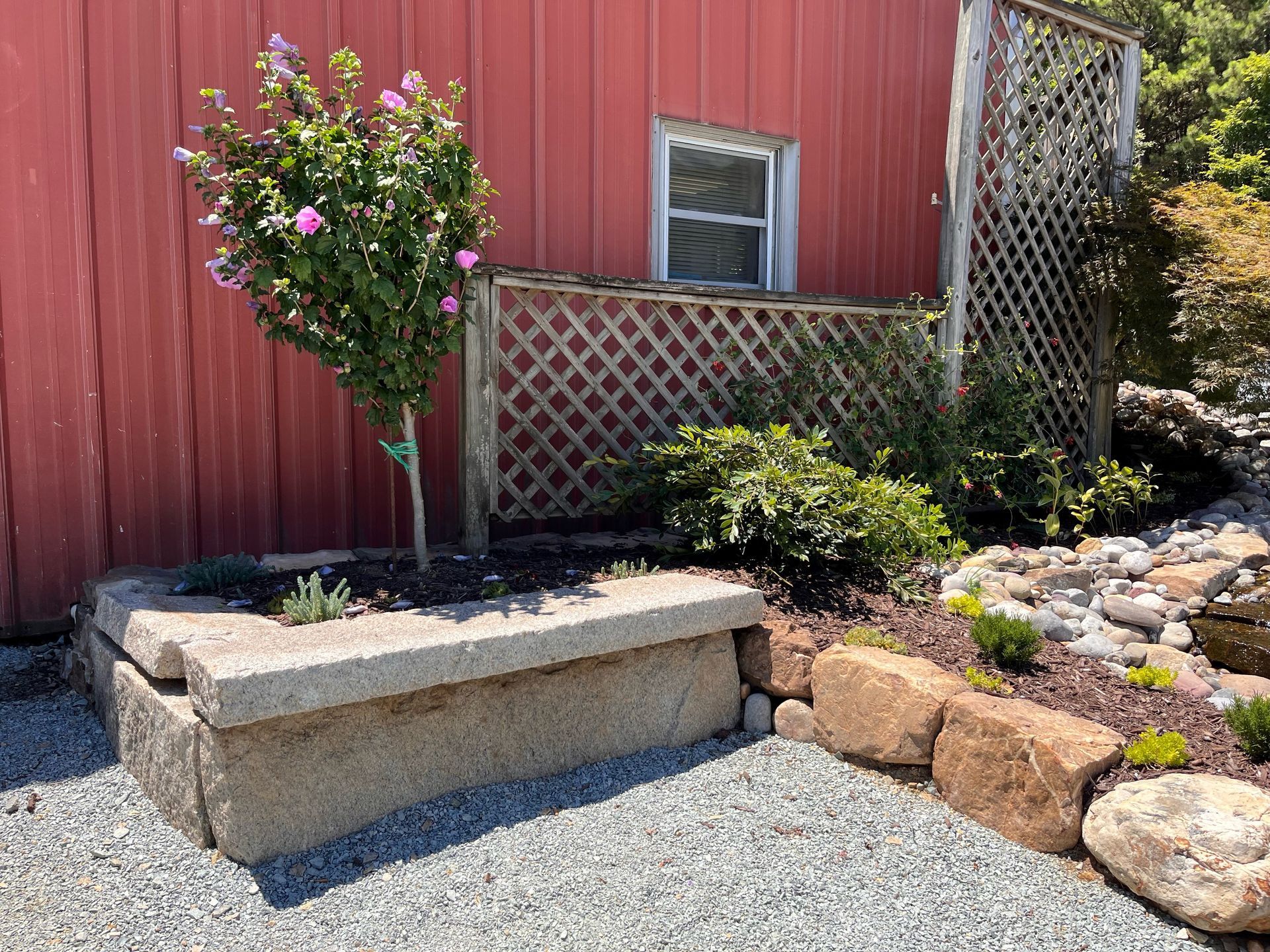 Red barn with stone planter, flowering tree, lattice, and rock border on gravel.