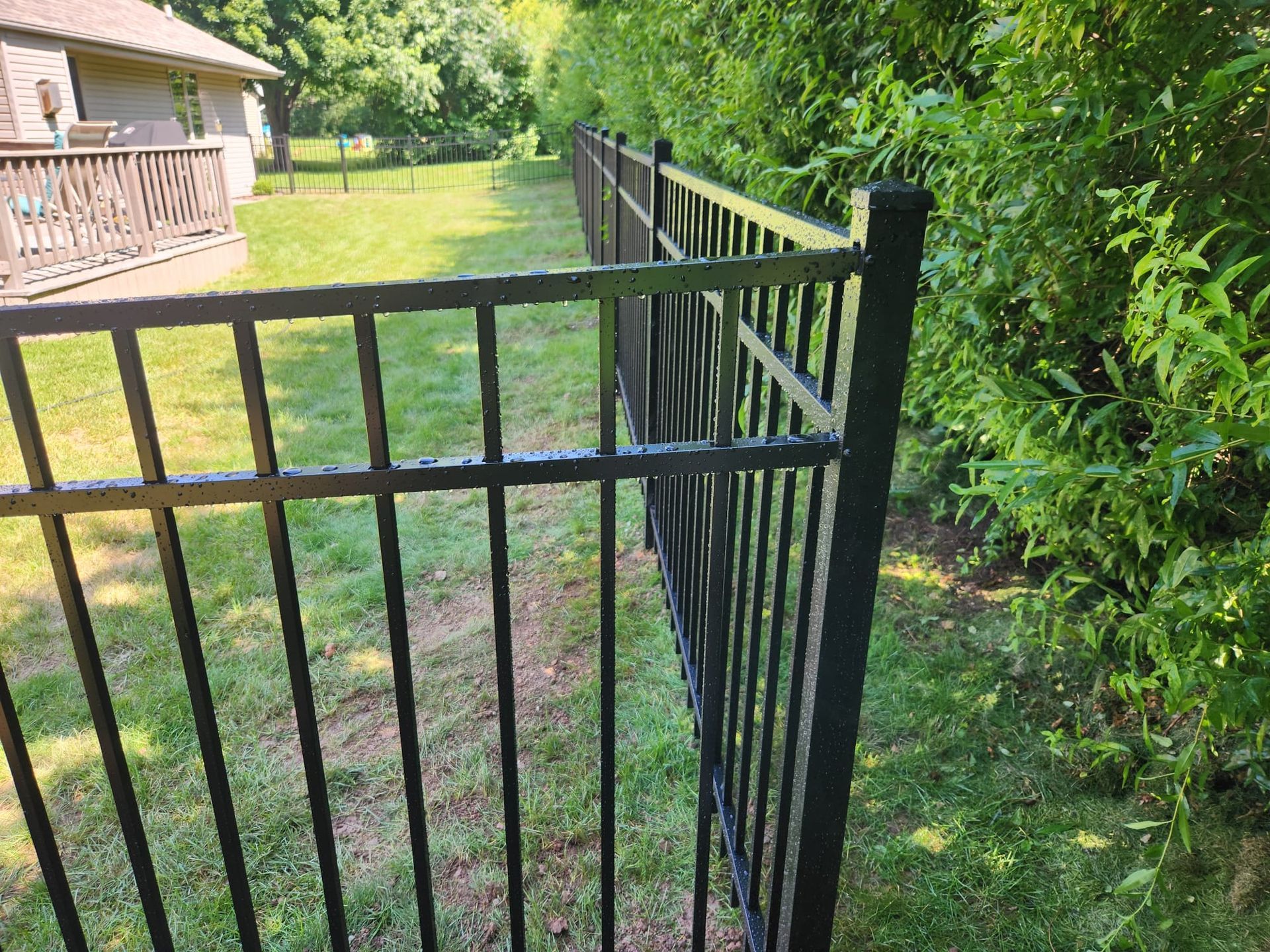 A black metal fence runs along a grassy yard next to a green hedge, with a house and deck visible in the background.
