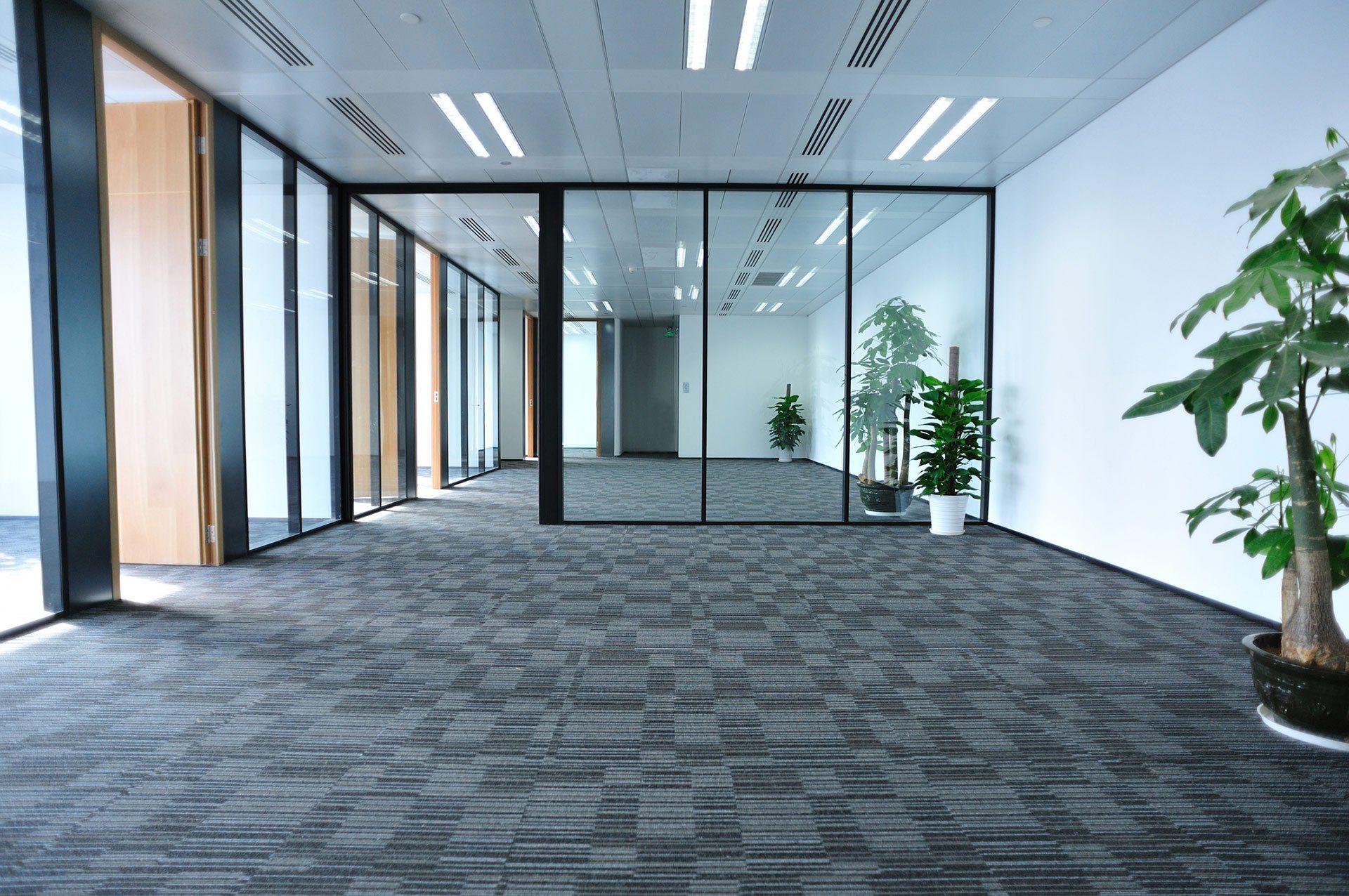 How Often Should I Get My Office Carpets Cleaned? | Get Steamed Carpet Cleaning