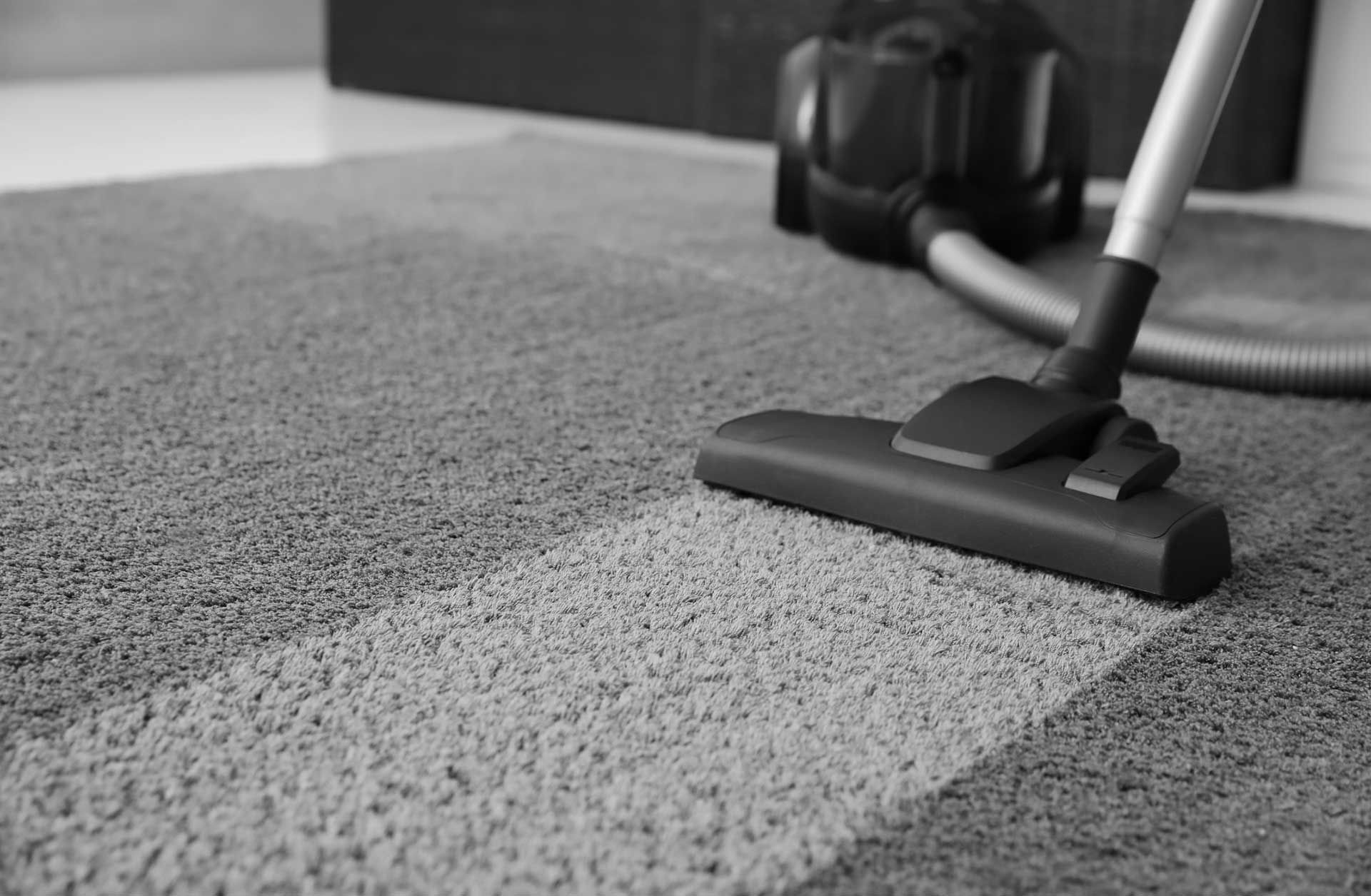 dramatic difference in carpet appearance from professional cleaning