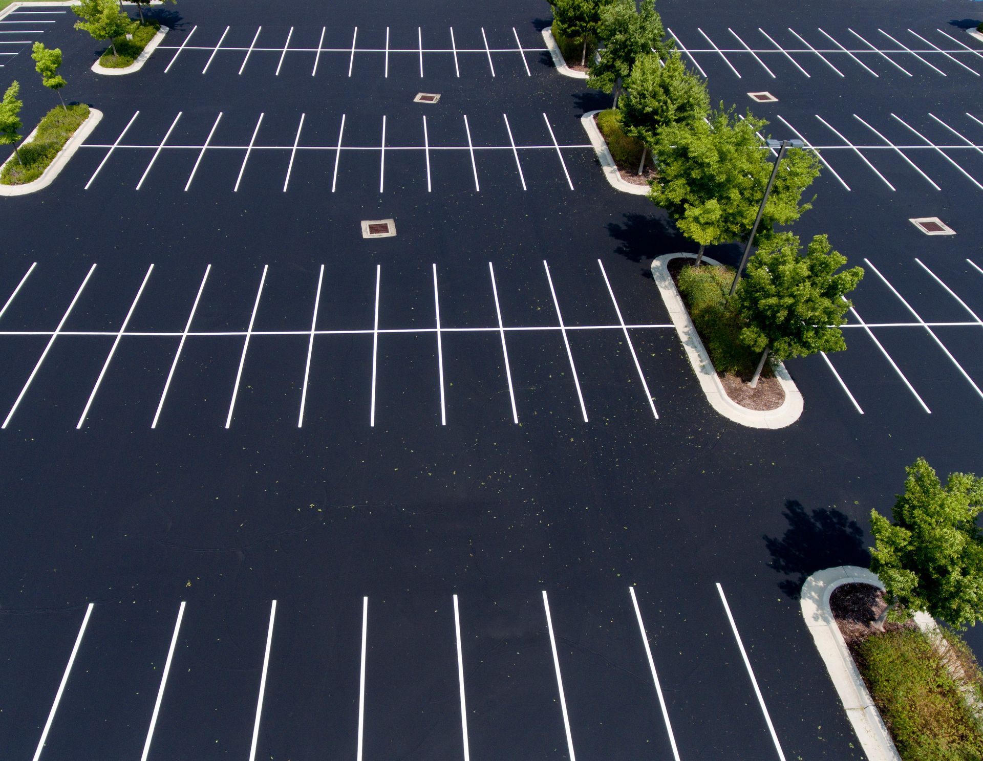 Empty parking lot with painted white lines and small trees in planter islands Empty parking lot with painted white lines and small trees in planter islands