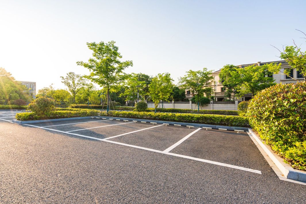 Empty parking lot with marked spaces, trees, and bushes in bright sunlight Empty parking lot with marked spaces, trees, and bushes in bright sunlight