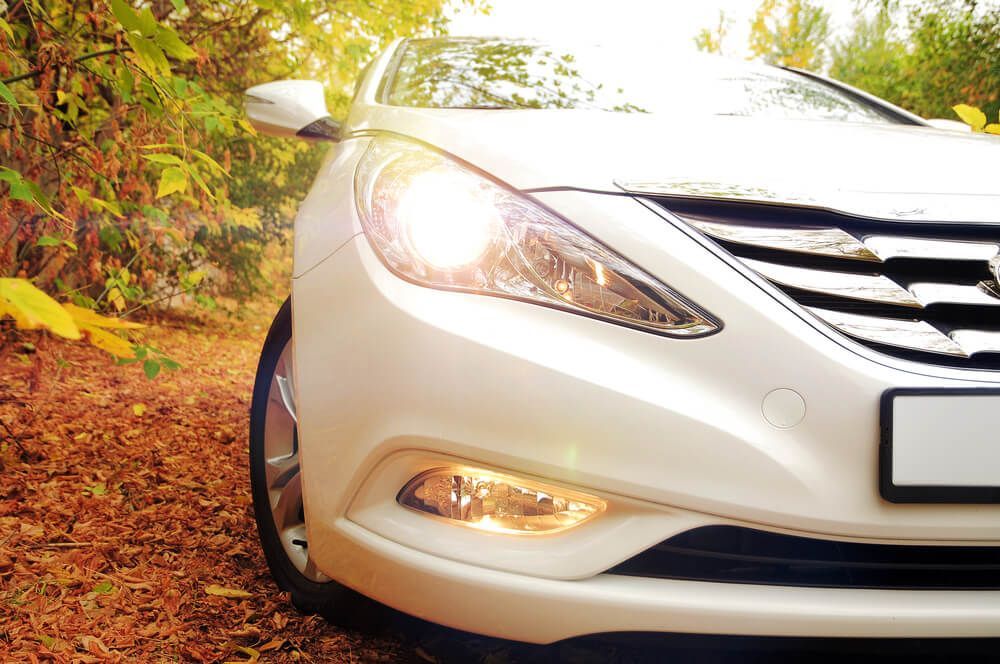 A white car is parked in a forest with leaves on the ground — Marx Forster Tyres & Mechanical In Forster, NSW