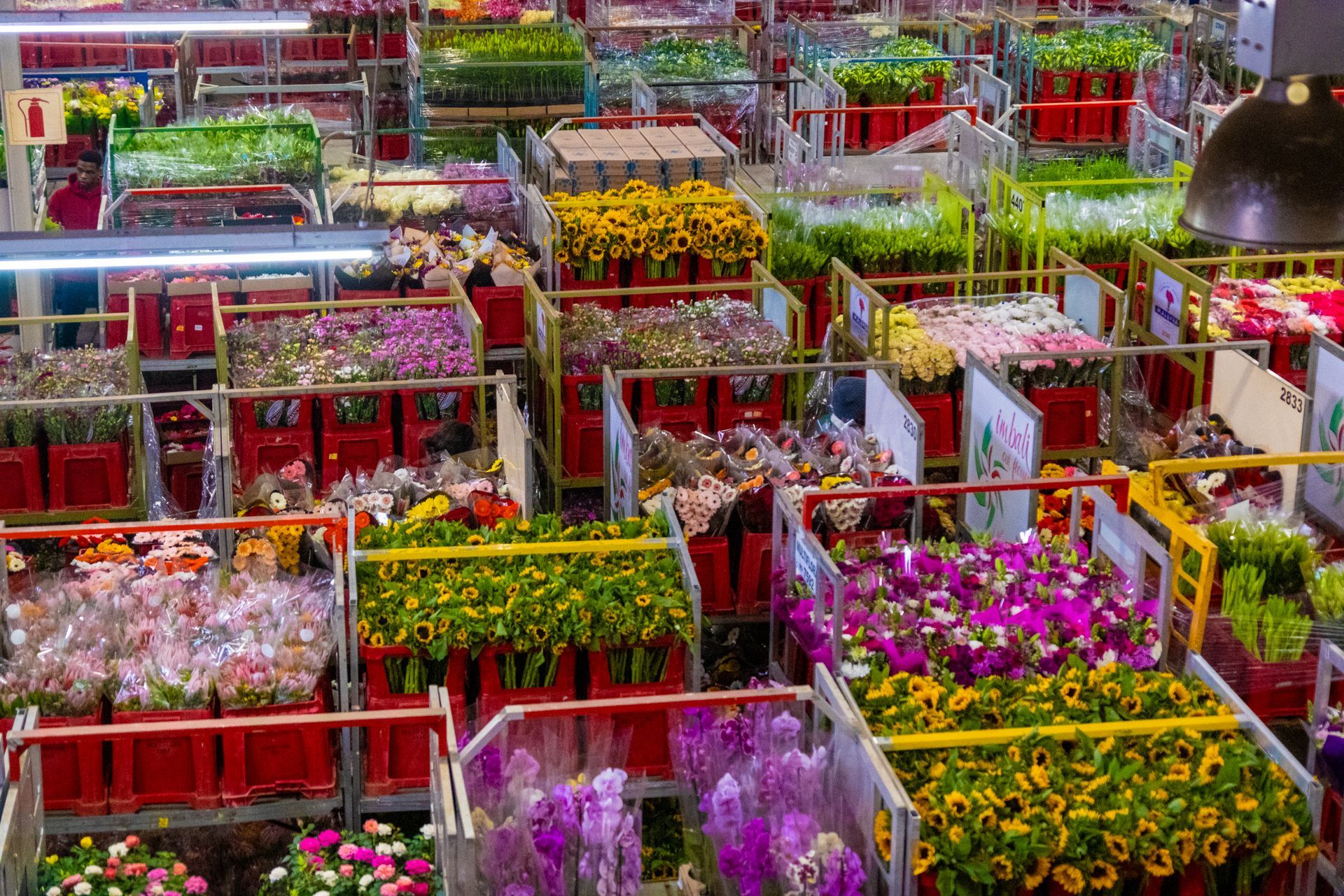 Flower Boutique