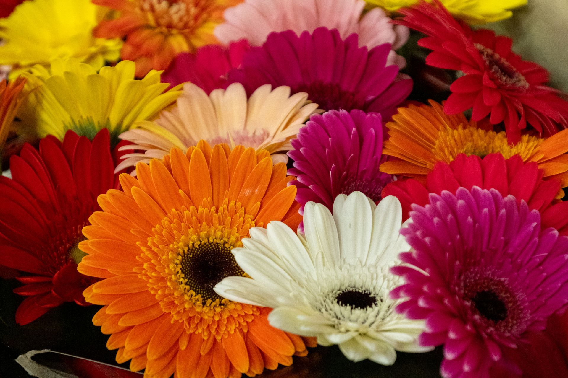 Flower Market
