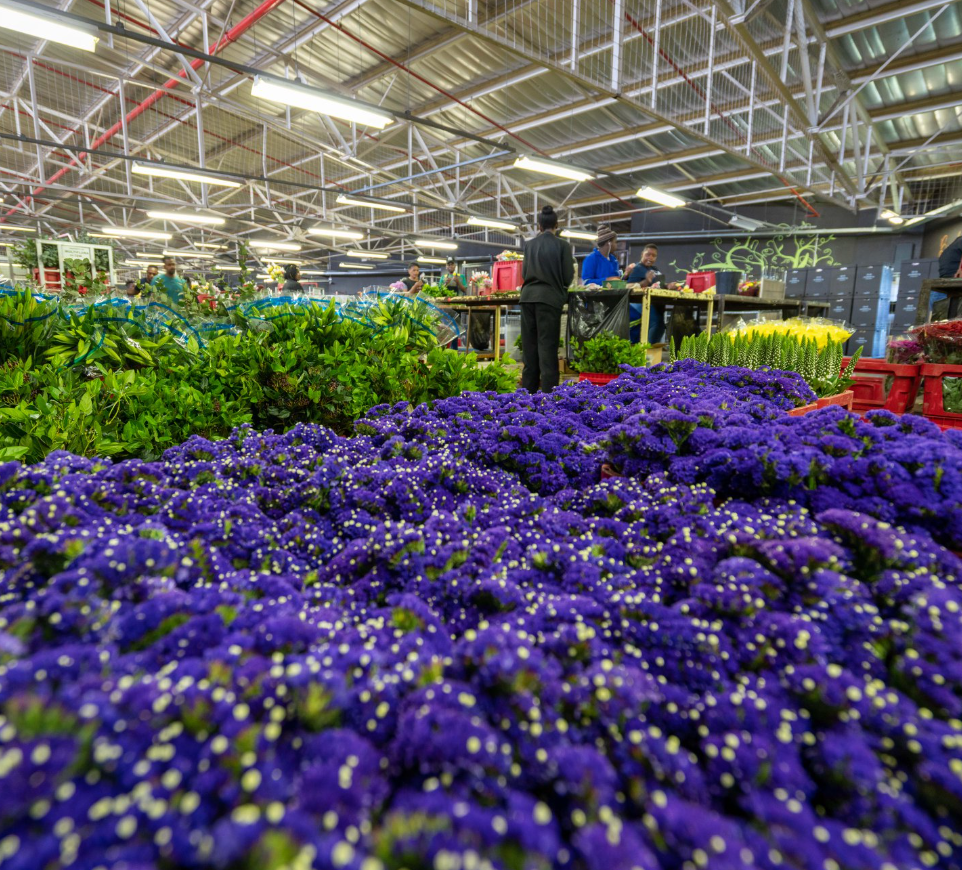 Flower Centre