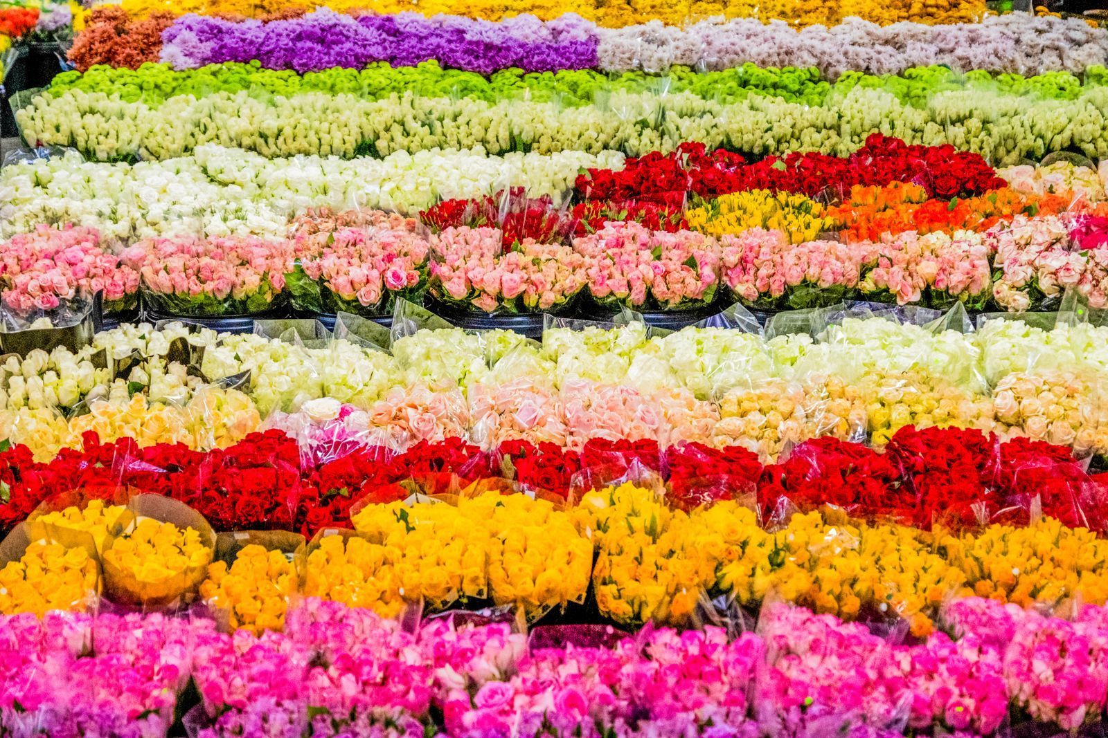Flower Market