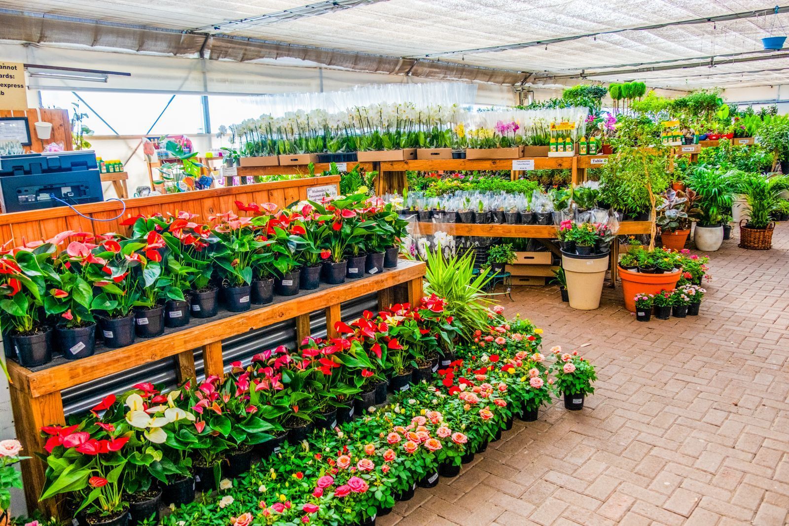 Flower Market