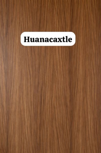 Huanacaxtle