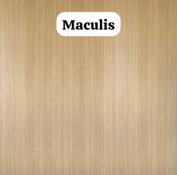 Maculis