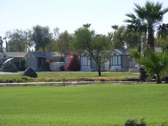 Mobile homes along a green field with palm trees.
