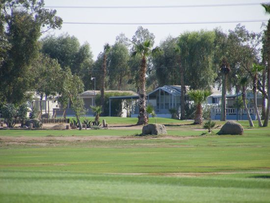 Green grass leads to a park with trees, palm trees, and houses in the distance.