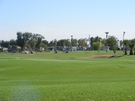 Green golf course with trees and buildings in the background under a clear sky.