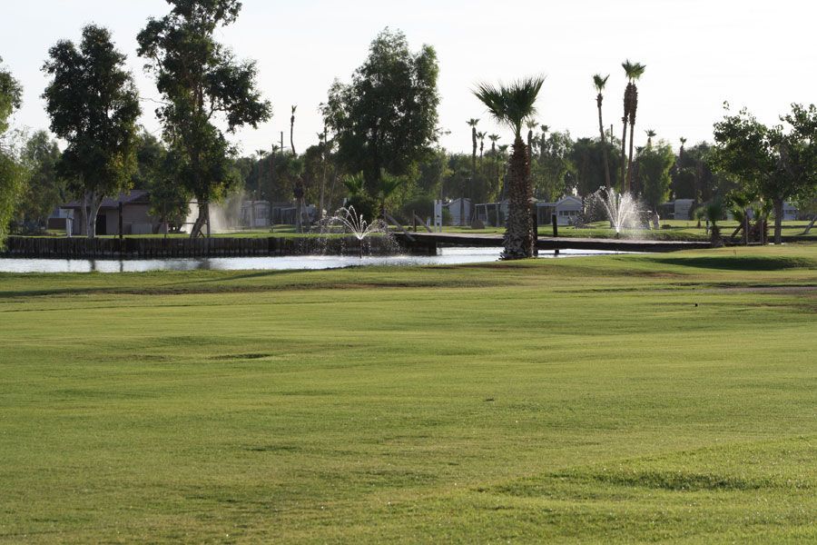 Green grassy lawn with a pond, trees, and sprinklers, under a bright sky.
