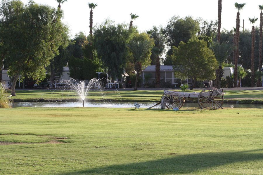 A grassy park with a pond, fountain, and decorative wagon. Palm trees and other trees in the background.