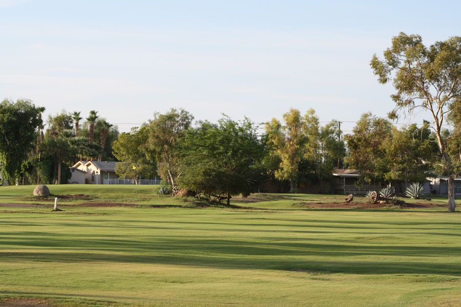 Green grassy golf course with trees and a small building under a clear sky.
