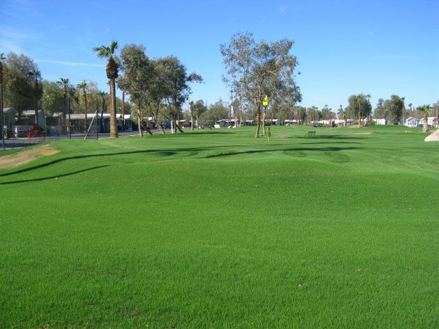 Lush green golf course with trees under a clear blue sky.
