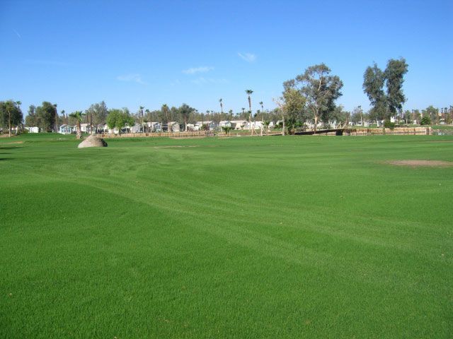 Green golf course under a clear blue sky, with trees and buildings in the background.