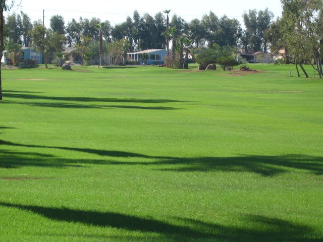 Green grassy field with shadows, houses and trees in the background.