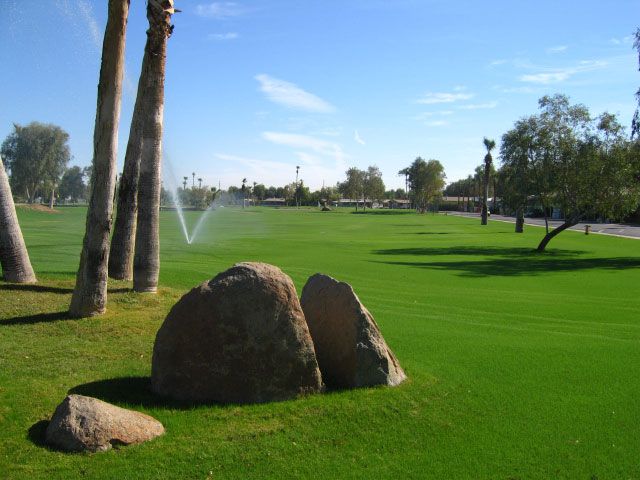 Green golf course with palm trees, rocks, and a sprinkler in operation under a blue sky.