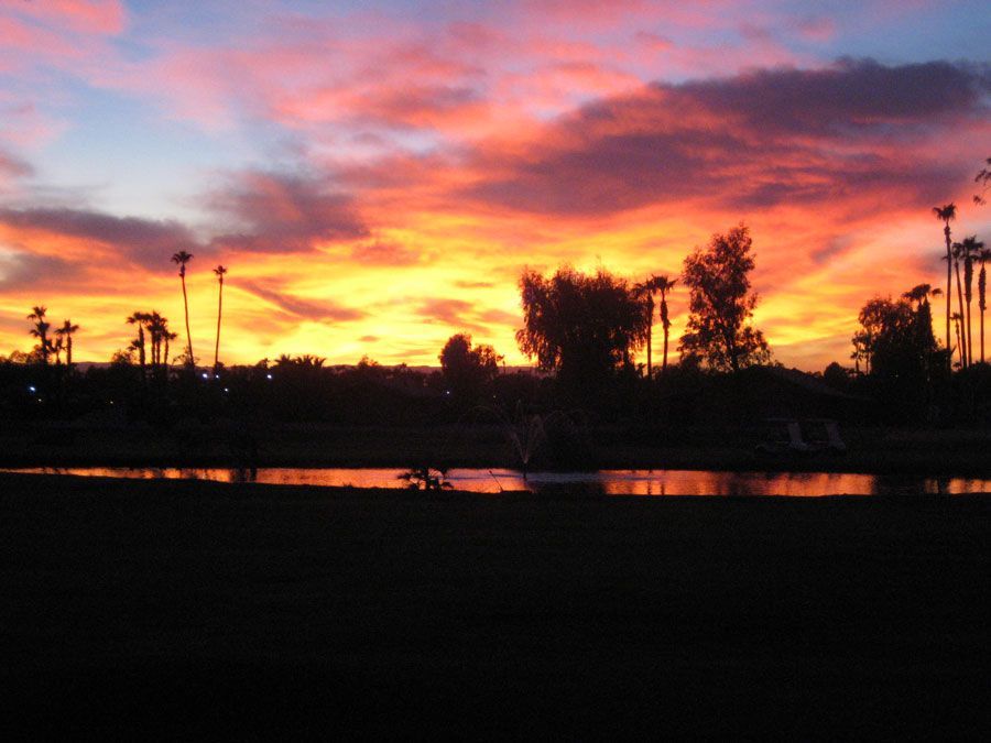 Sunset over silhouetted trees and a body of water, with vibrant orange, red, and purple hues in the sky.
