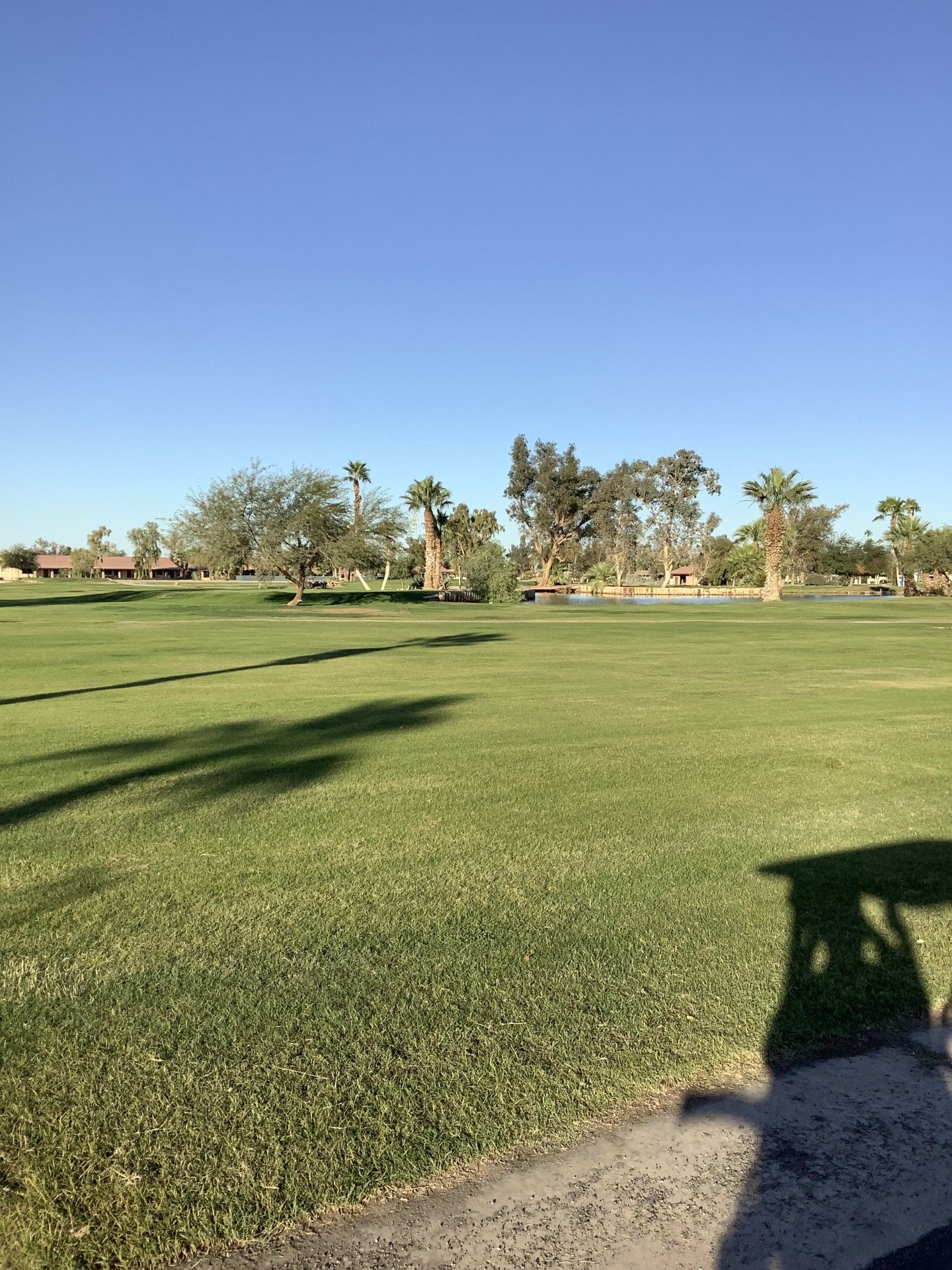 Green golf course with trees under a blue sky. Golf cart shadow in the foreground.